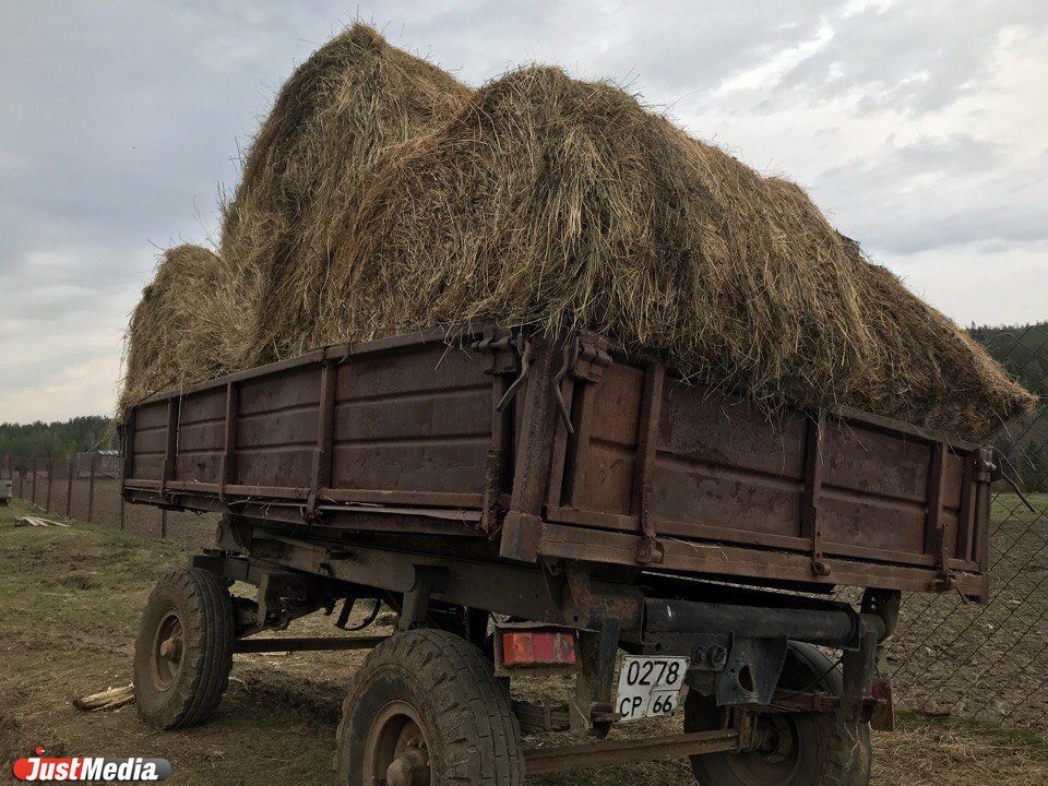 Маралы, носочное производство, истории о Мамине-Сибиряке и свадебный обряд. Проводим экскурсию в Висиме. ФОТО, ВИДЕО. - Фото 4