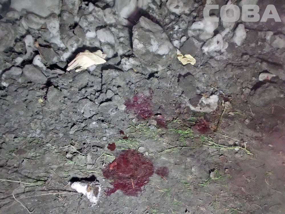 Возле Ганиной Ямы отчаянный пешеход попытался перебежать дорогу перед фурой, но не успел. ФОТО - Фото 5