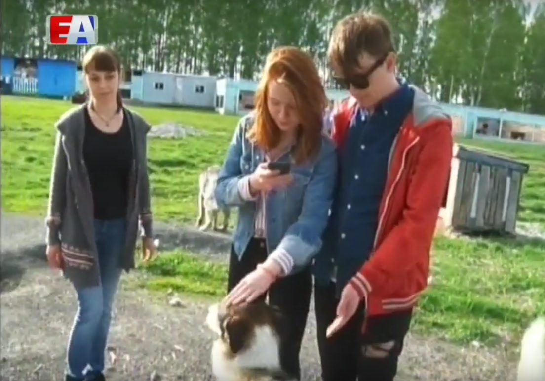 Лидер «Сансары» Александр Гагарин помогает бездомным собакам обрести дом. ВИДЕО - Фото 2