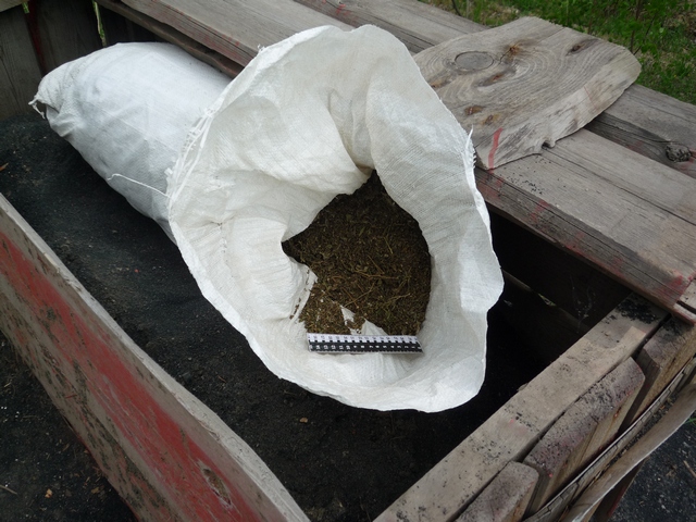 Сотрудники Госнаркоконтроля обнаружили мешок с марихуаной на обочине дороги под Алапаевском - Фото 2