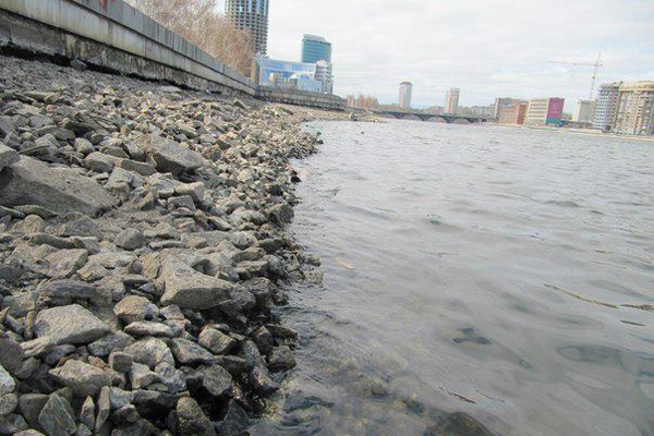 Золотая молодежь опередила команду Высокинского. Члены молодежного правительства собрали со дна Исети восемь мешков бутылок, остальное скрыла вода - Фото 4