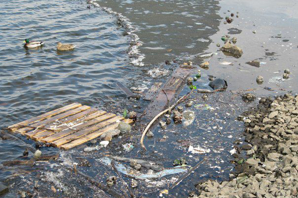 Золотая молодежь опередила команду Высокинского. Члены молодежного правительства собрали со дна Исети восемь мешков бутылок, остальное скрыла вода - Фото 3