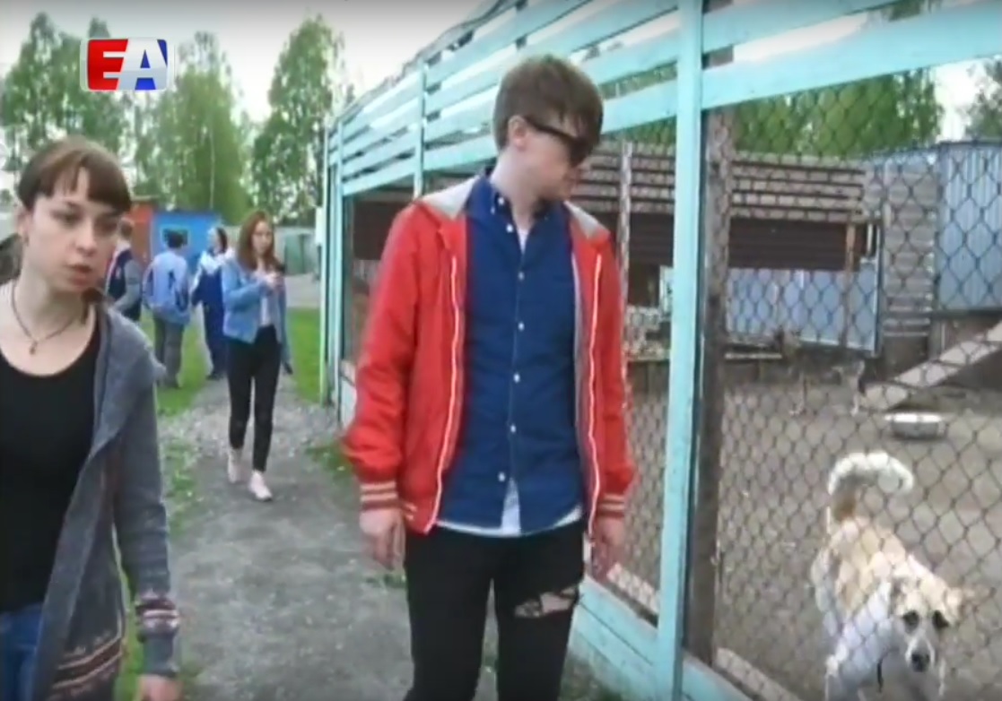 Лидер «Сансары» Александр Гагарин помогает бездомным собакам обрести дом. ВИДЕО - Фото 4