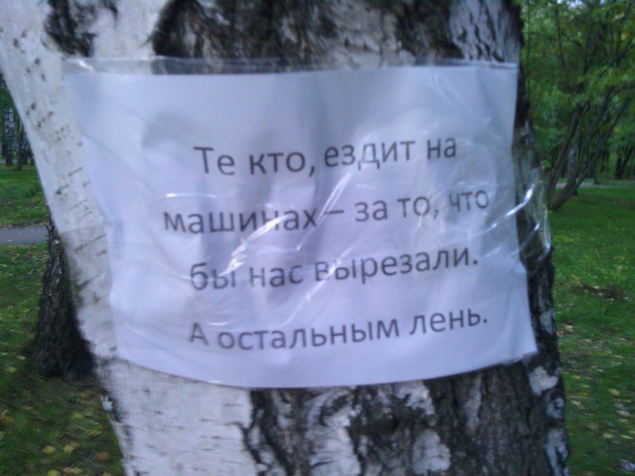 В Екатеринбурге деревья взбунтовались против строительства дороги к ЧМ-2018 - Фото 5
