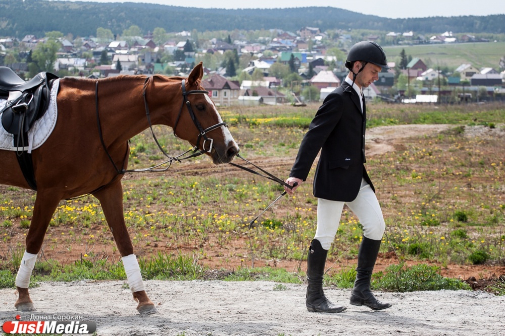 Вне КОНКУРенции! Свердловские всадники продолжают показывать высокие результаты в конном спорте - Фото 5