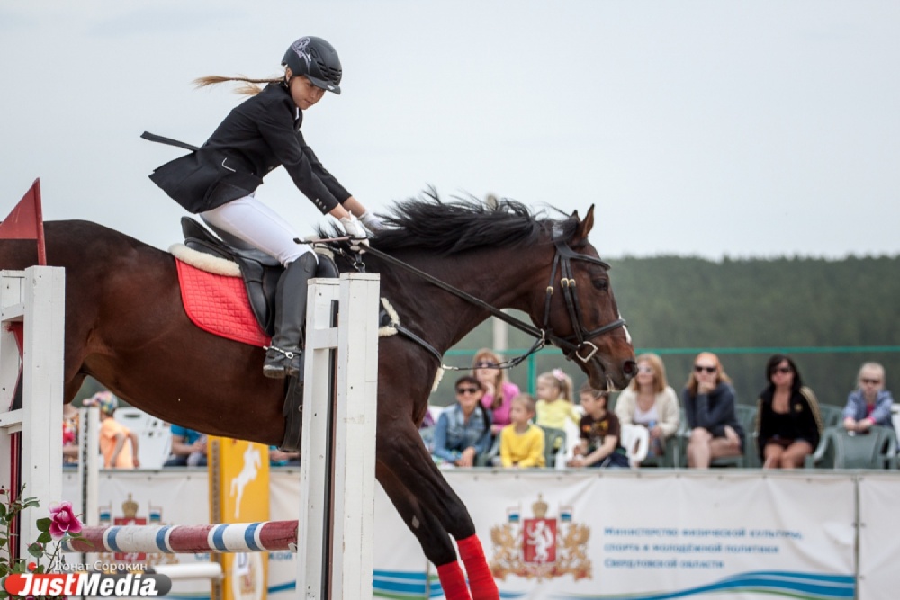Вне КОНКУРенции! Свердловские всадники продолжают показывать высокие результаты в конном спорте - Фото 6