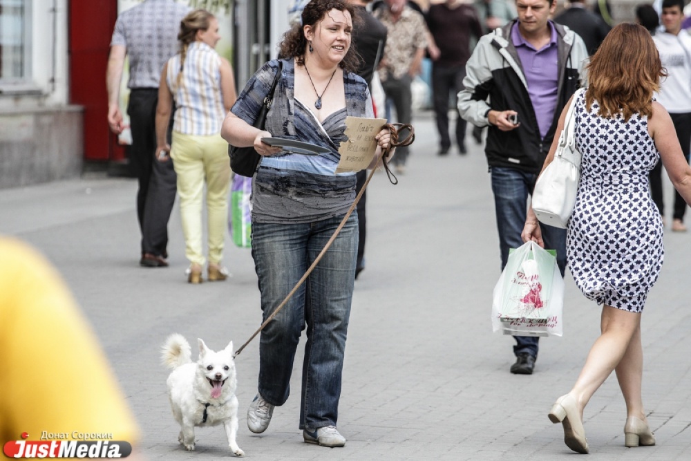 Уличная битва – кто больше заработает бомж, дама с собачкой или бродячие музыканты. Журналисты JustMedia.Ru вышли на паперть - Фото 4