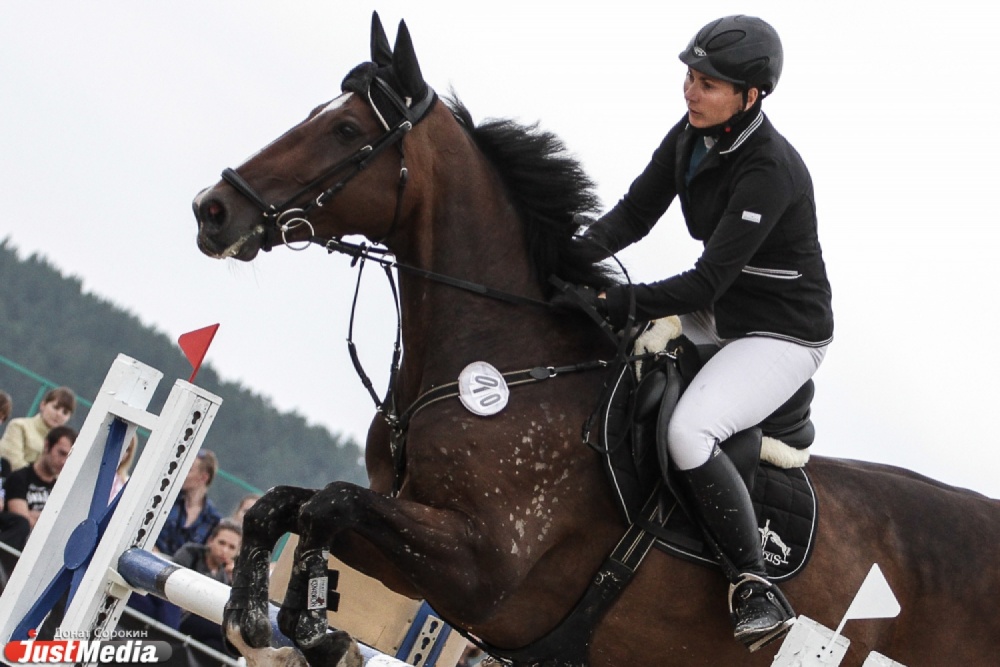 Конкур высшей пробы. В Кадниково прошел международный турнир Кубок губернатора Свердловской области. - Фото 3