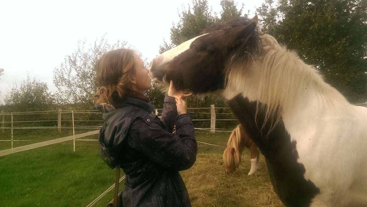 Студентка из Екатеринбурга съездила на стажировку в Германию, чтобы открыть свою конюшню. ФОТО - Фото 3