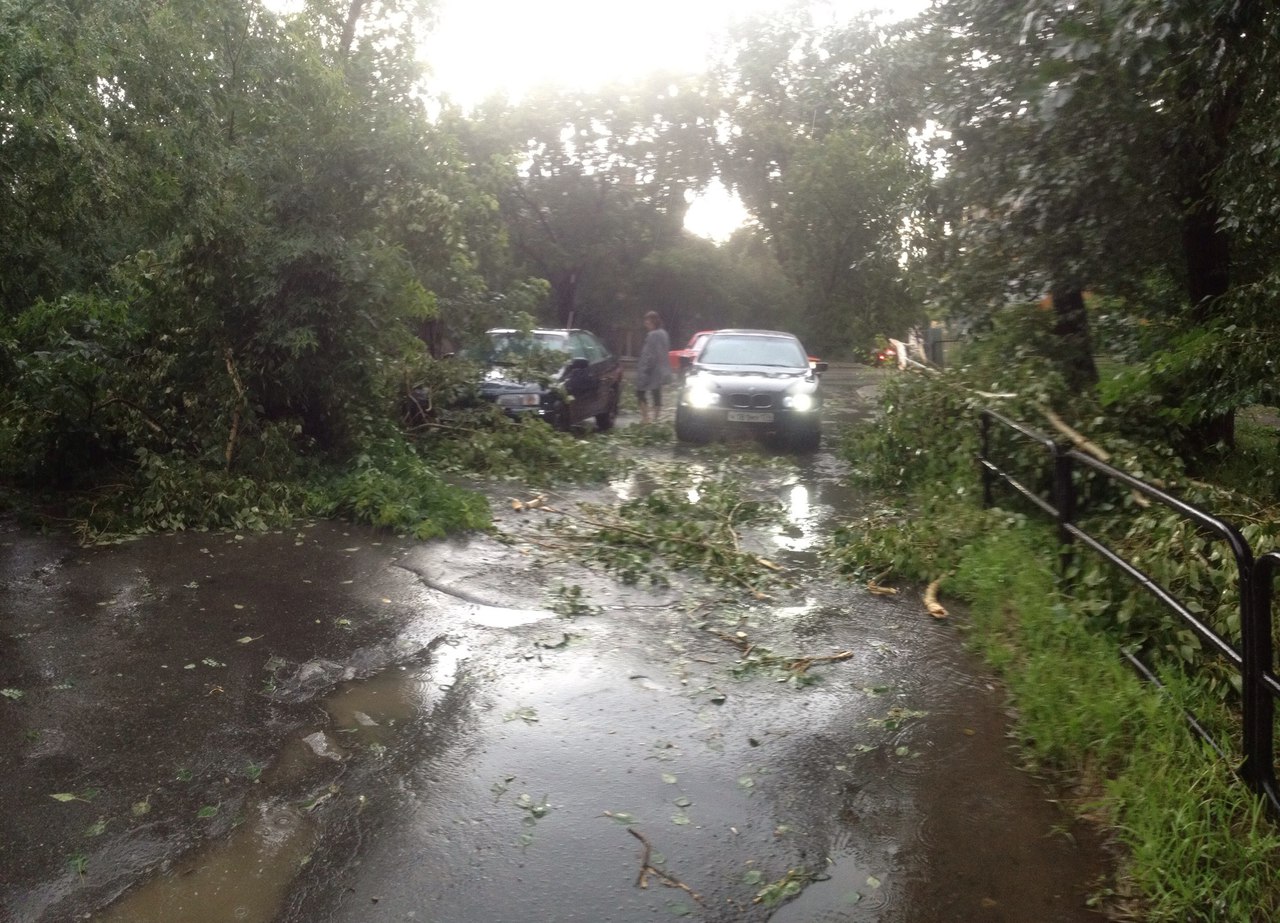 Езда с преградами. Дороги и тротуары Екатеринбурга завалило деревьями. ФОТО - Фото 5