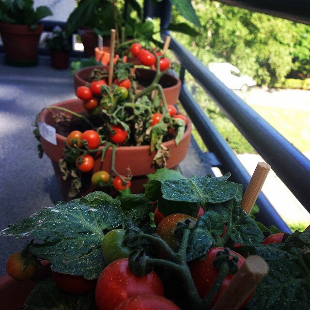 «Маме не поплачешься, она за 4000 км». Уралочка осталась жить в Европе после развода с мужем-иностранцем. СПЕЦПРОЕКТ - Фото 8