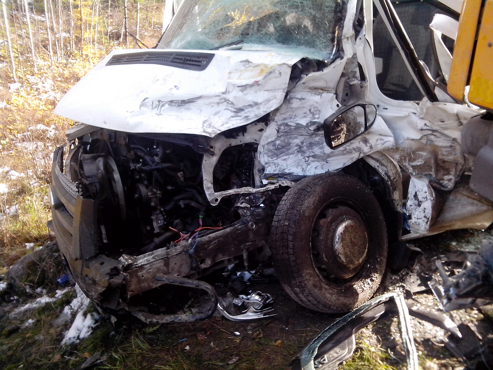 На трассе Екатеринбург—Серов в ДТП попала детская баскетбольная команда. Ранены пять человек - Фото 5