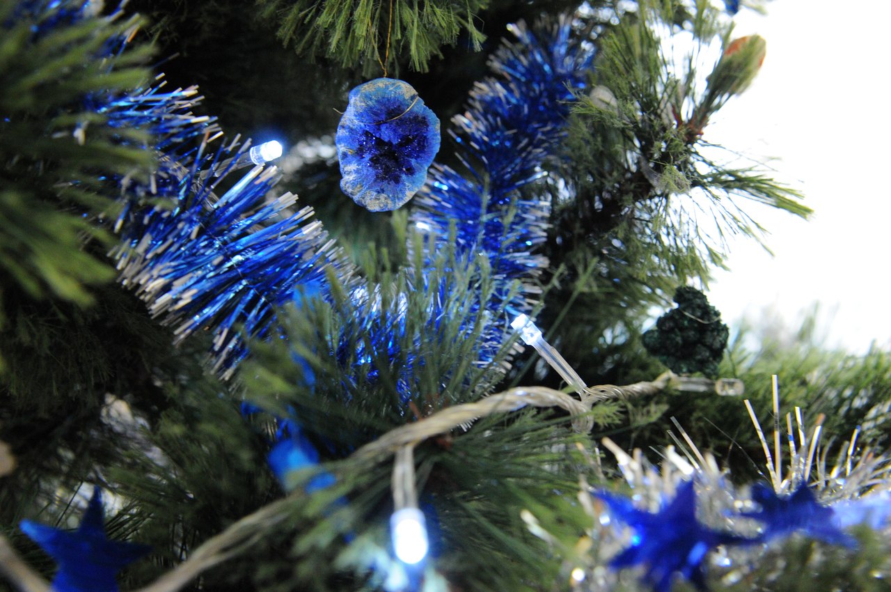 В Горном университете елку украсили самоцветами - Фото 2