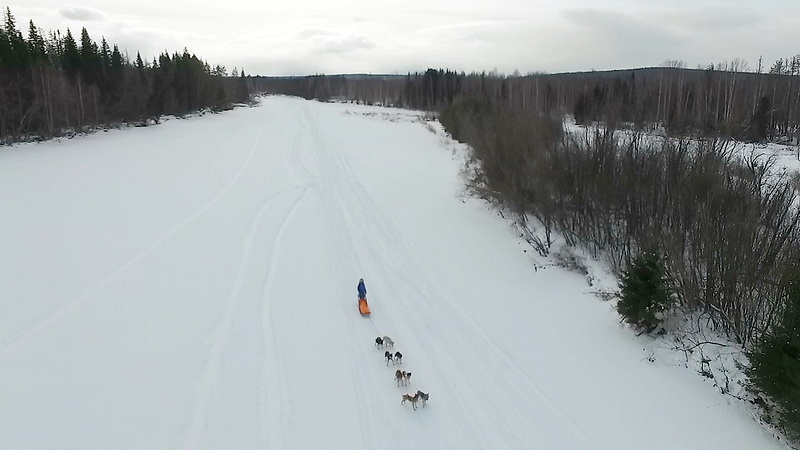 Уральские экстремалы покорили перевал Дятлова на собачьих упряжках - Фото 4