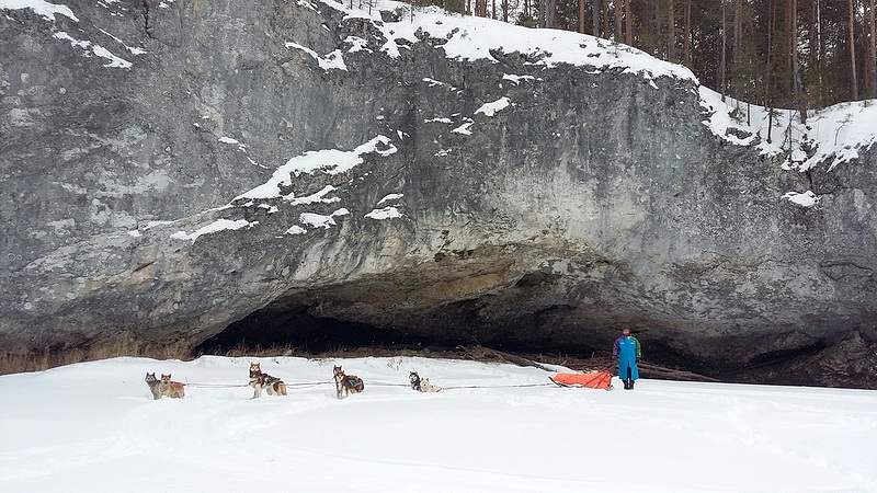 Уральские экстремалы покорили перевал Дятлова на собачьих упряжках - Фото 5