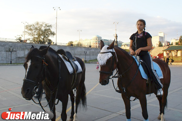 Лошади продолжают гулять по центру Екатеринбурга, несмотря на запреты - Фото 2