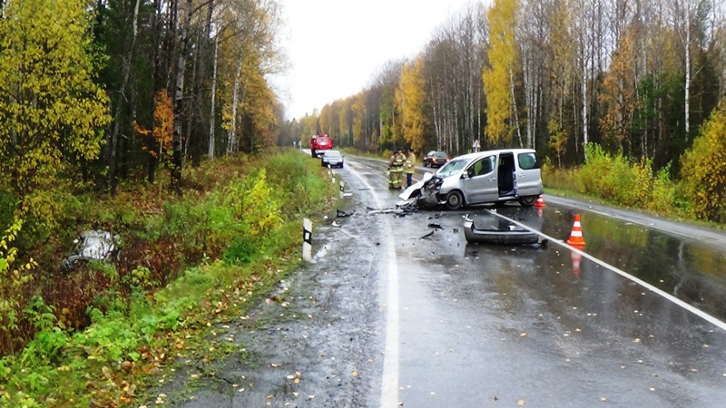 Скончалась еще одна пострадавшая в ДТП на автодороге Первоуральск—Шаля - Фото 5