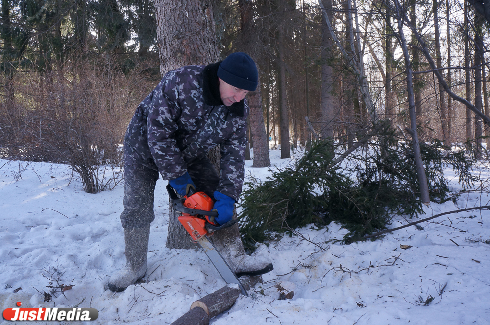 Самый чистый воздух, самые сладкие лимоны, самые редкие растения. Курорт? Нет — дендропарк на Первомайской - Фото 2