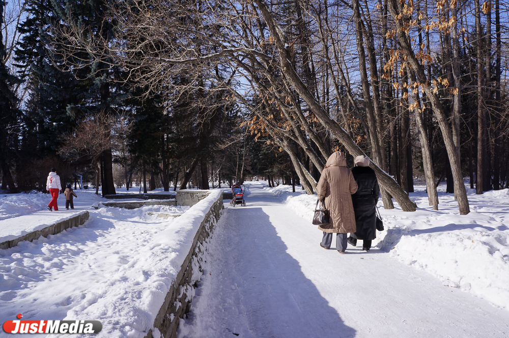 Самый чистый воздух, самые сладкие лимоны, самые редкие растения. Курорт? Нет — дендропарк на Первомайской - Фото 6