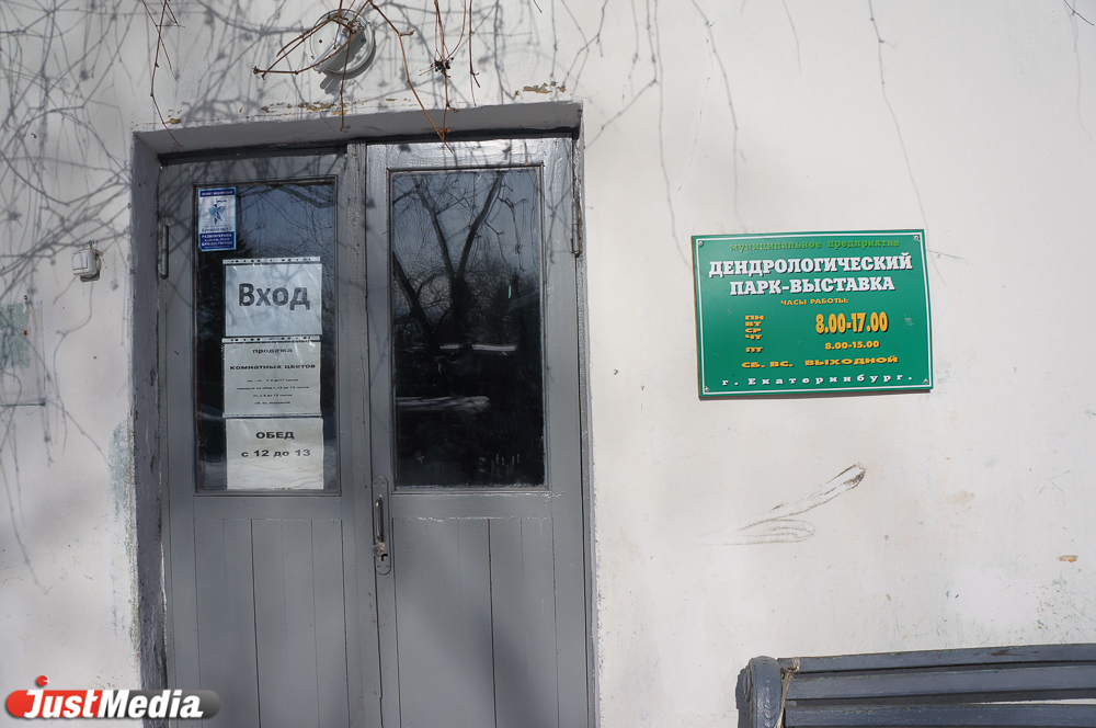 Самый чистый воздух, самые сладкие лимоны, самые редкие растения. Курорт? Нет — дендропарк на Первомайской - Фото 3