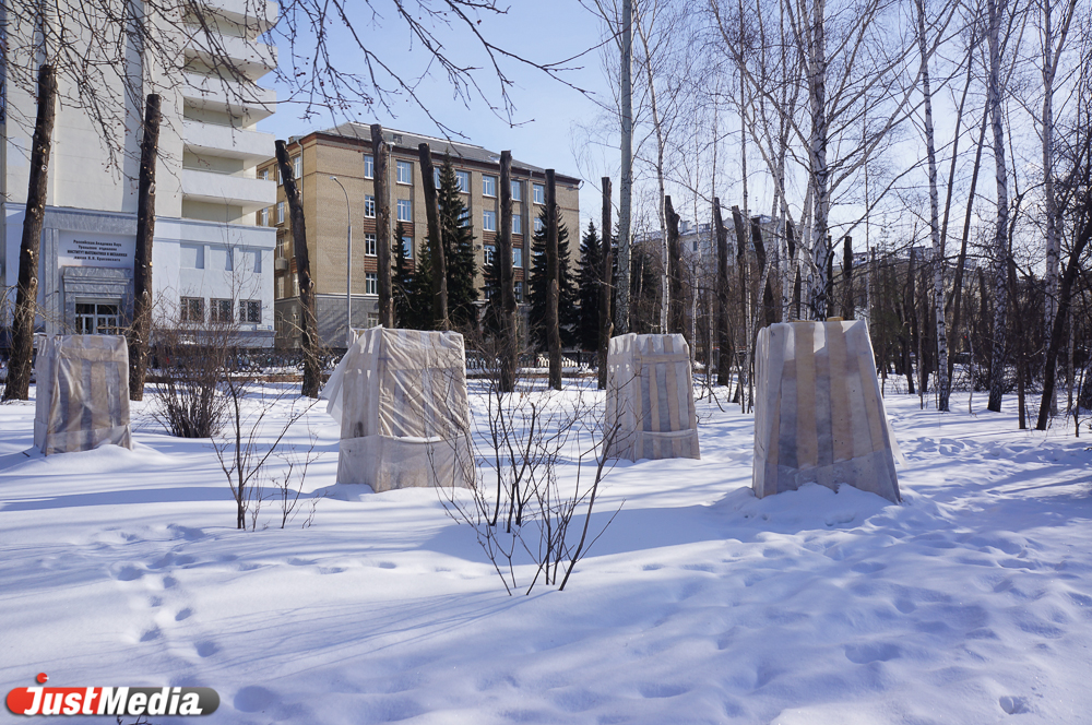 Самый чистый воздух, самые сладкие лимоны, самые редкие растения. Курорт? Нет — дендропарк на Первомайской - Фото 5
