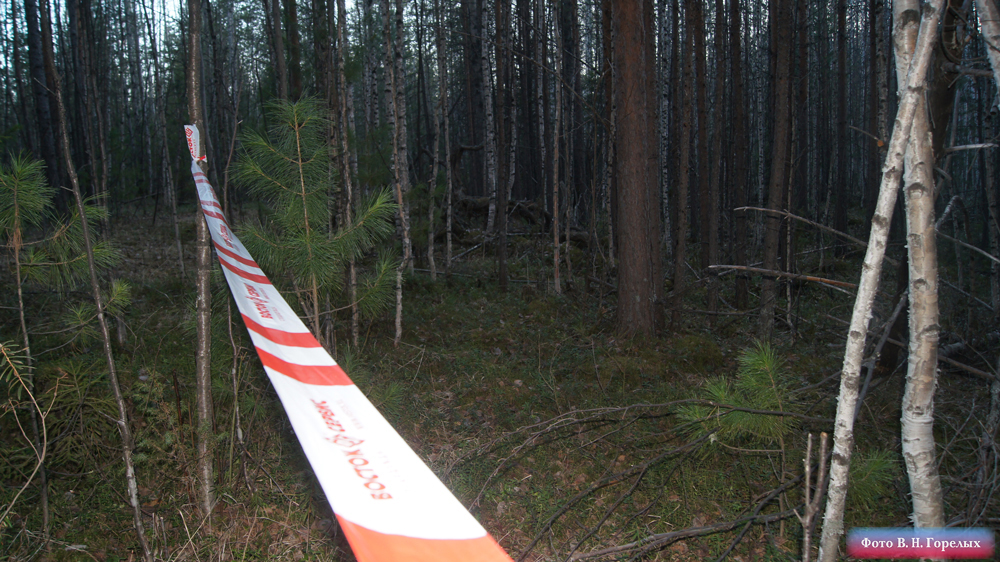 «Черный ящик» на Ан-2 отсутствовал. На месте крушения самолета продолжается сбор вещественных доказательств - Фото 8