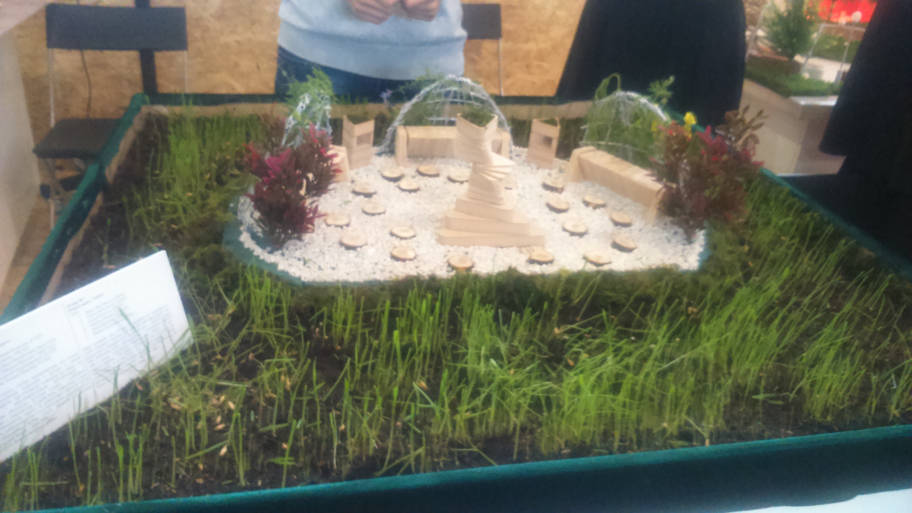 У парка на Ясной появится «ИЗБА» - Фото 6