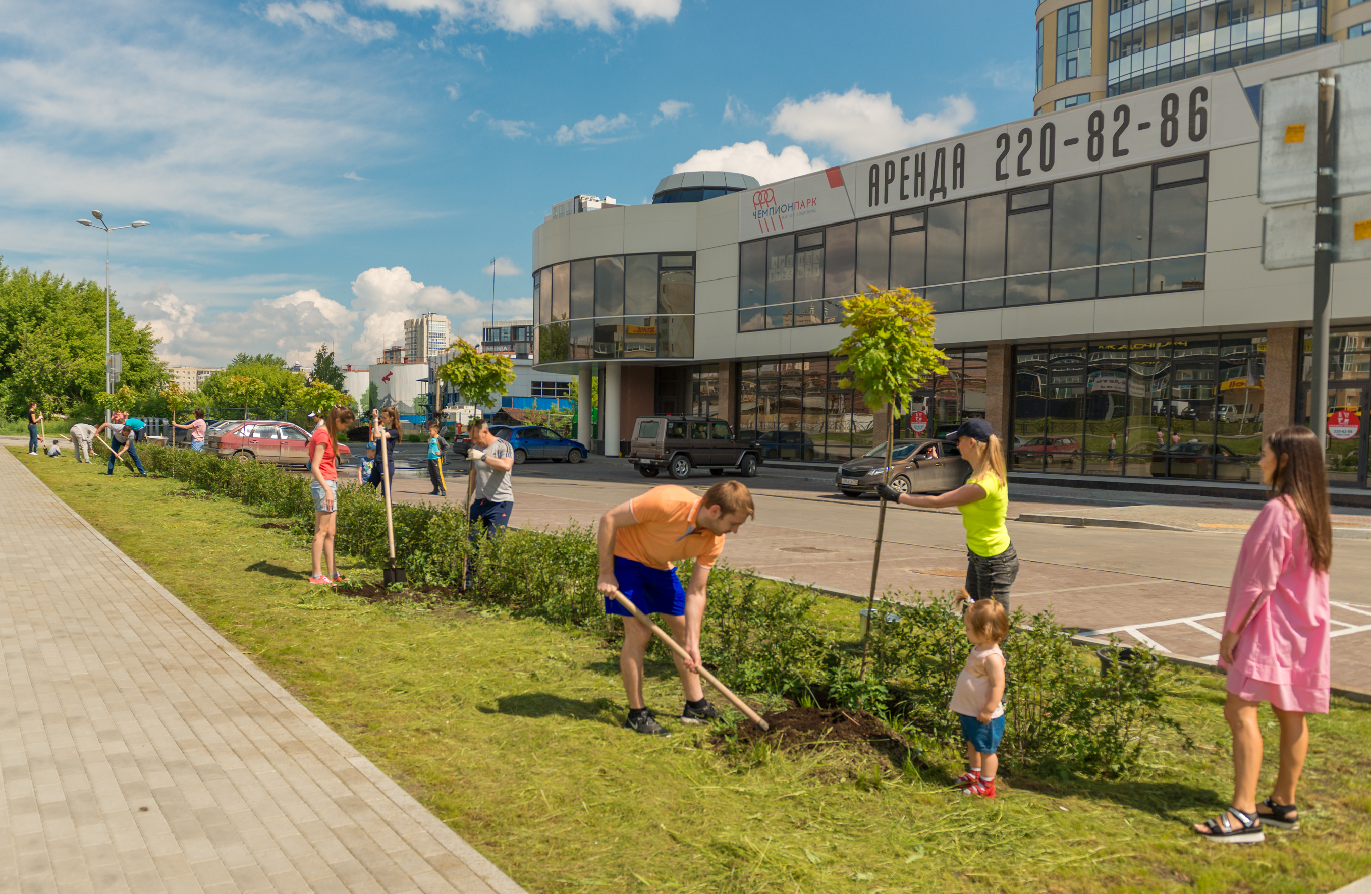 Первые новоселы ЖК «Чемпион Парк» высадили во дворе «именные» деревья. ФОТО - Фото 2