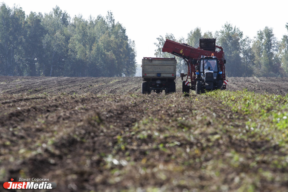 Собрать и сохранить. На Урале началась уборочная кампания - Фото 2