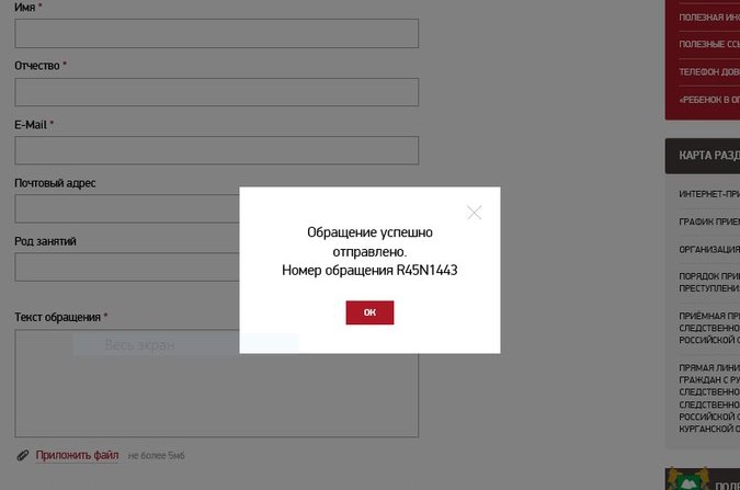 Пермяк потребовал отставки курганского губернатора из-за осужденной за репост воспитательницы  - Фото 2