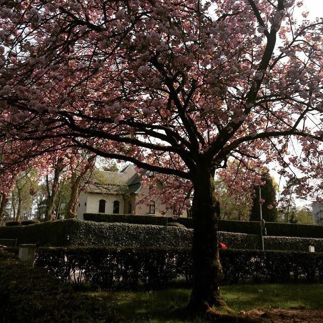 «Маме не поплачешься, она за 4000 км». Уралочка осталась жить в Европе после развода с мужем-иностранцем. СПЕЦПРОЕКТ - Фото 9