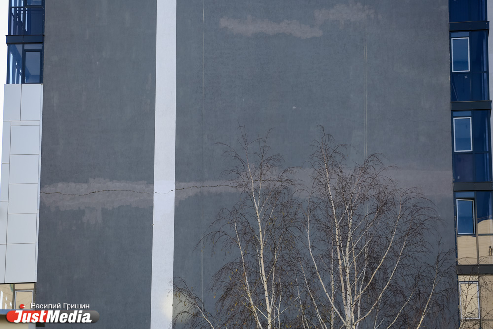 ЖК «Дипломат» покрылся серыми полосками - Фото 4
