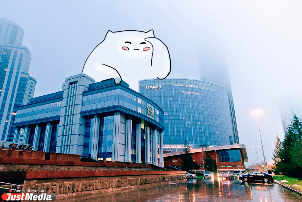 Рисованный кот из Академического покоряет Екатеринбург в компании JustMedia. ЭКСКЛЮЗИВНЫЕ ФОТО - Фото 3