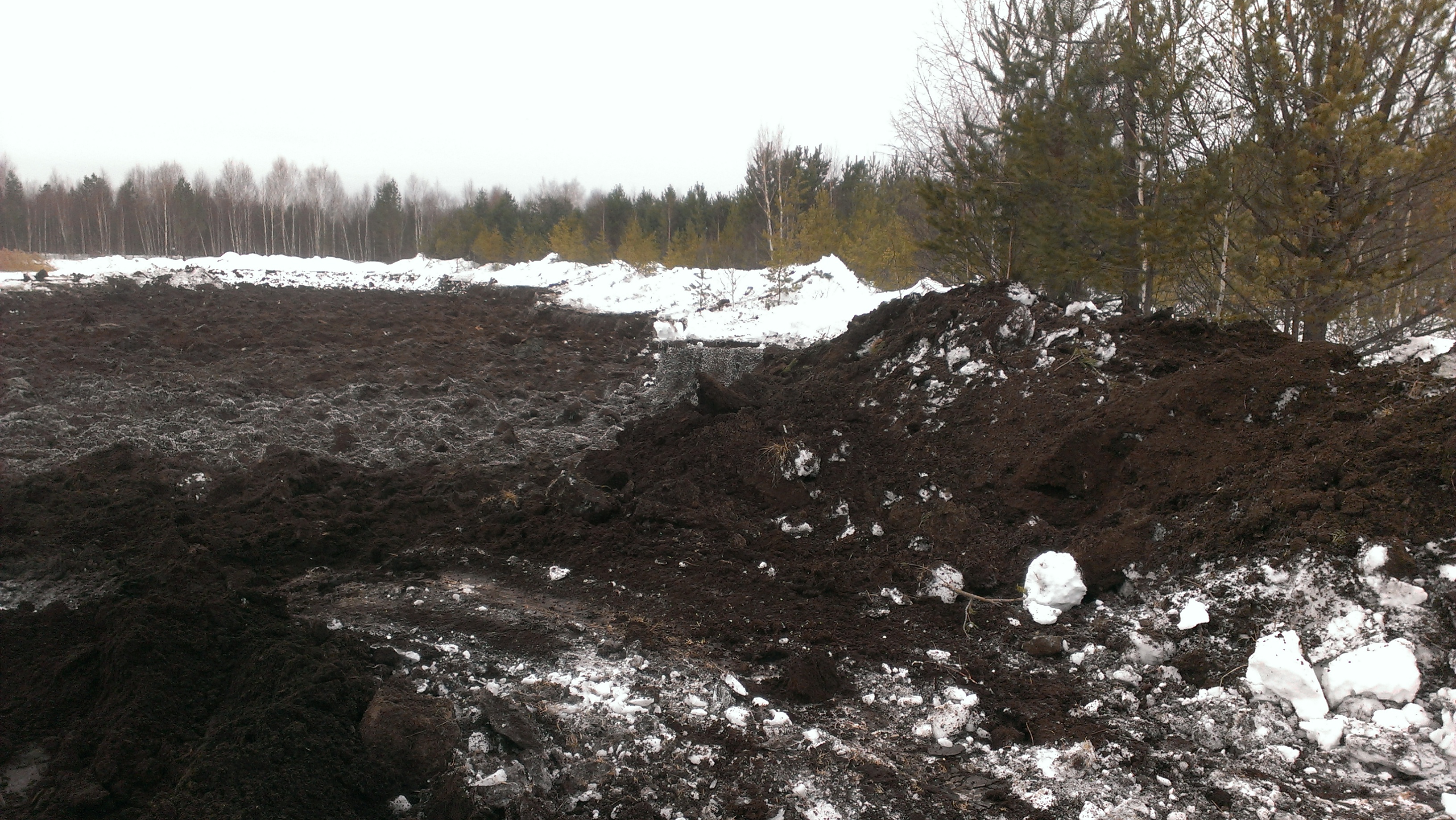 Под Нижним Тагилом пресечена незаконная добыча торфа - Фото 2