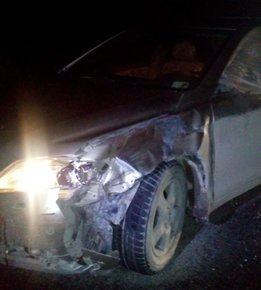 Тормозной путь составил 100 метров на зимней резине. В Заречном Toyota била насмерть дачницу из Екатеринбурга - Фото 2