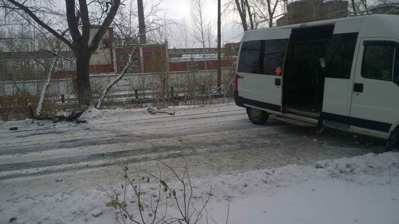 В Асбесте водитель микроавтобуса врезался в дерево. Пострадали 4 человека - Фото 3