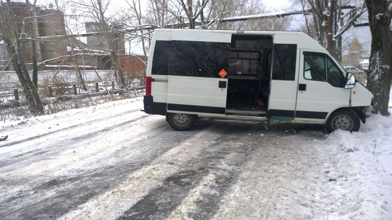 В Асбесте водитель микроавтобуса врезался в дерево. Пострадали 4 человека - Фото 2