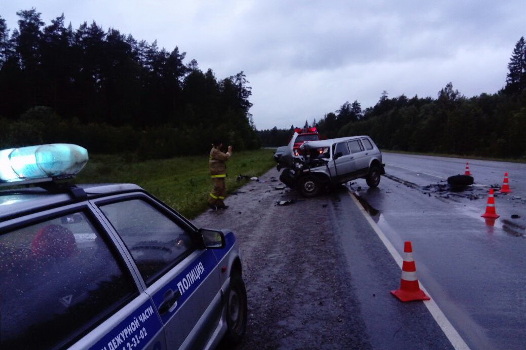 Ночью на Московском тракте «Нива» протаранила на встречке Peugeot с «челноками». ФОТО - Фото 3