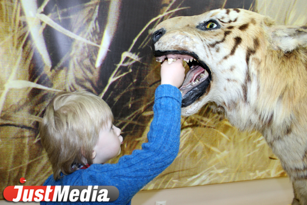 «Музейда тэн». В «Ночь музеев-2013» жители Екатеринбурга стали свидетелями боев, выстояли очереди к гадалкам и узнали чужие языки - Фото 3