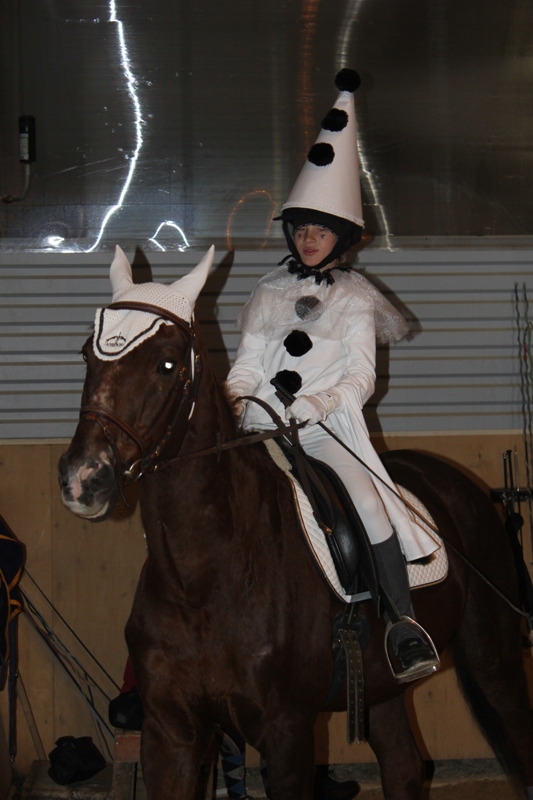 Костюмированный турнир по конному спорту среди детей в Кадниково собрал лучших спортсменов области - Фото 2