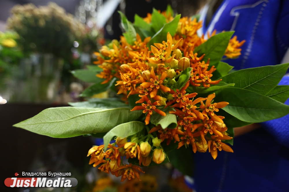 Капуста и укроп для любимой учительницы. Выбираем трендовый букет на День знаний. ЛАЙФХАК - Фото 2