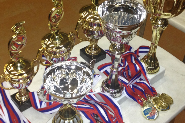 Сотрудники полиции в преддверии Дня защитника Отечества демонстрировали силу, ловкость и меткость - Фото 2