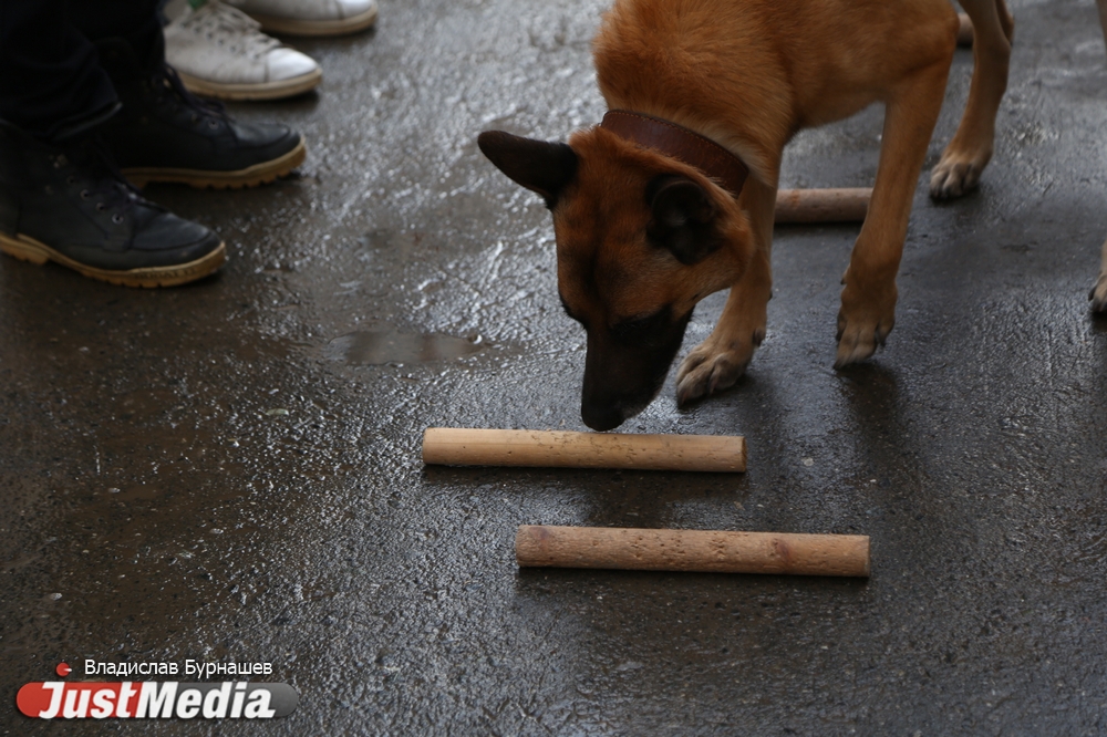 В обед - солянка, а вечером - турнир в футбол. Журналисты JustMedia попали в СИЗО-1, чтобы узнать, как там за решеткой. ФОТОРЕПОРТАЖ - Фото 27