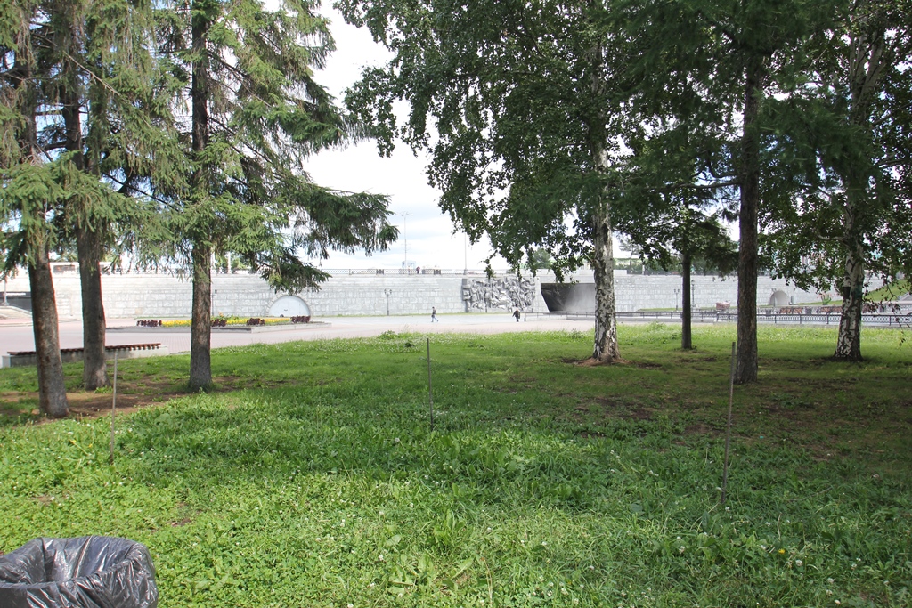 В Екатеринбурге сквер перед «Пассажем» превратится в первый кленовый парк. ФОТО - Фото 5