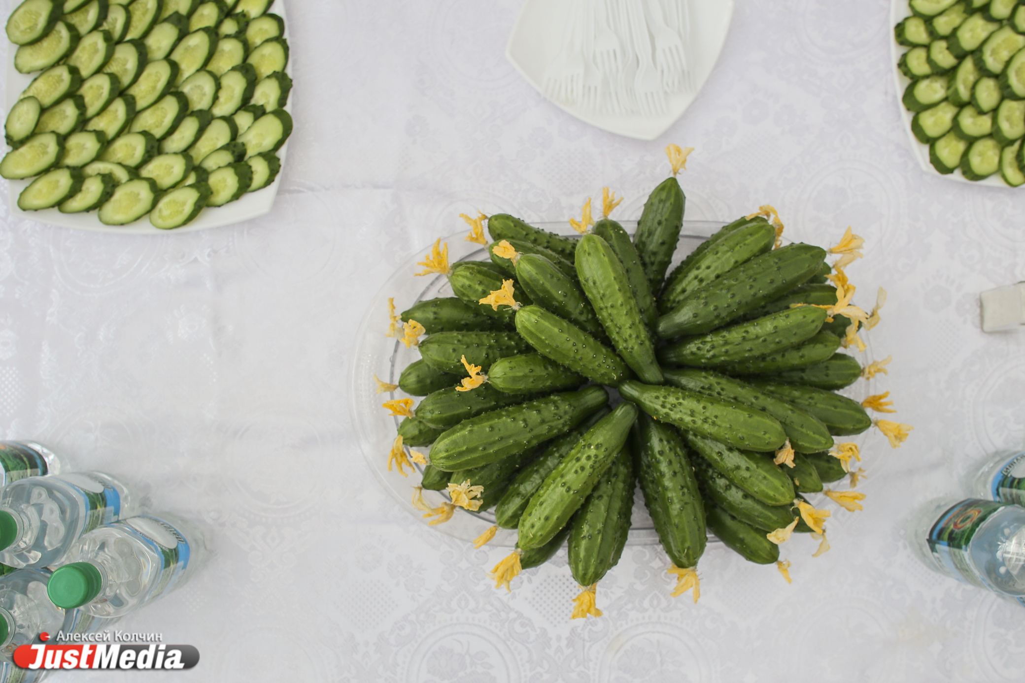 Лучшая свердловская корова и первый урожай огурцов — чем удивляют и угощают иностранных делегатов на Урале - Фото 2