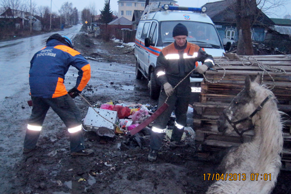В Екатеринбурге спасатели достали из колодца лошадь - Фото 3