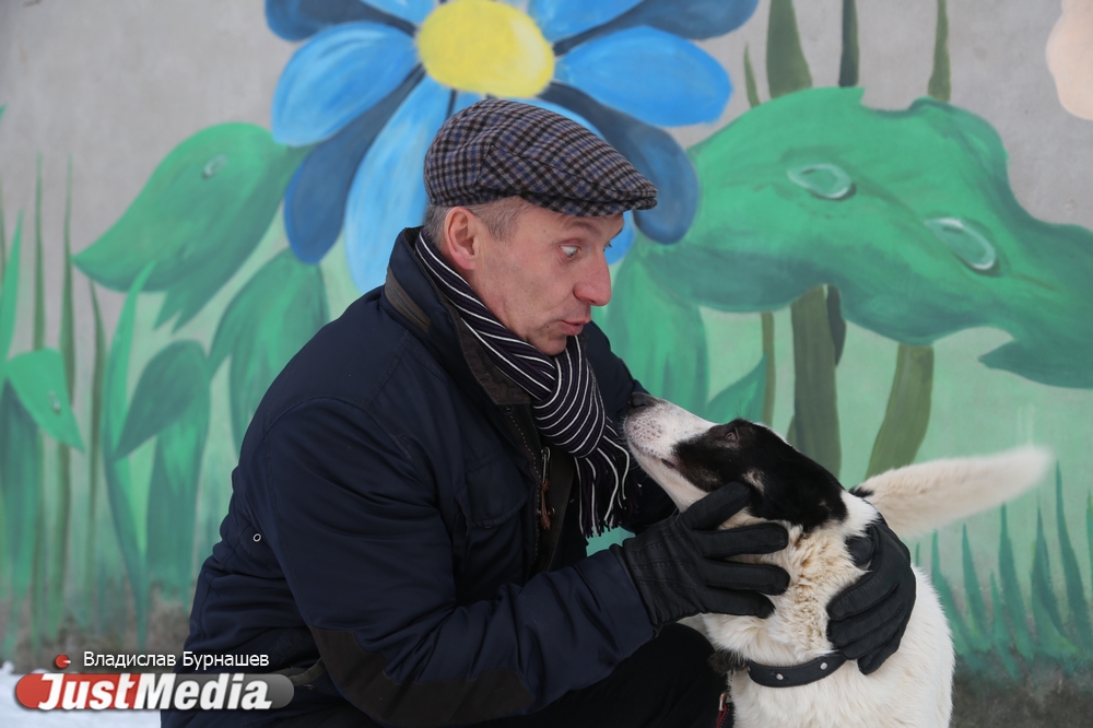 В Екатеринбурге устраивают тест-драйв бездомных собак, чтобы спасти им жизнь. СПЕЦПРОЕКТ - Фото 8