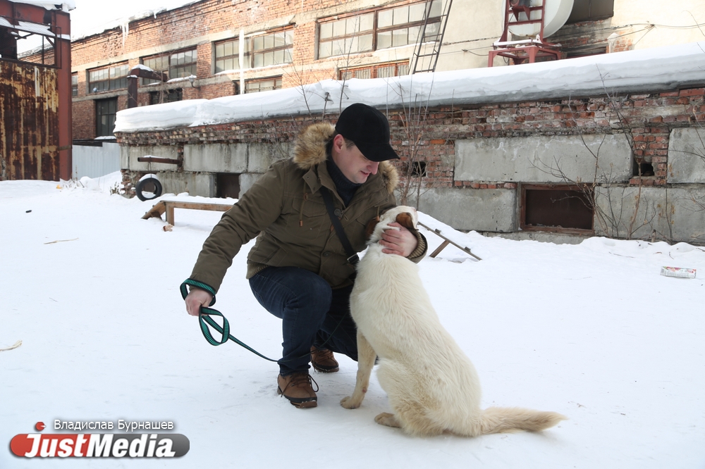 В Екатеринбурге устраивают тест-драйв бездомных собак, чтобы спасти им жизнь. СПЕЦПРОЕКТ - Фото 17