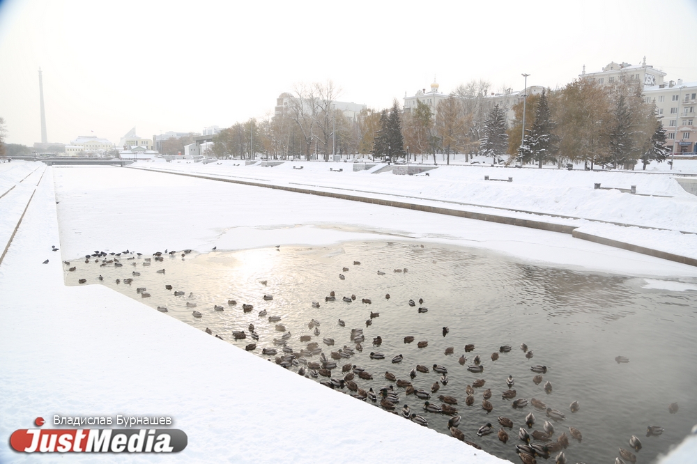 Как Екатеринбург спасается от холода: фоторепортаж JustMedia из замерзающей столицы Урала - Фото 5
