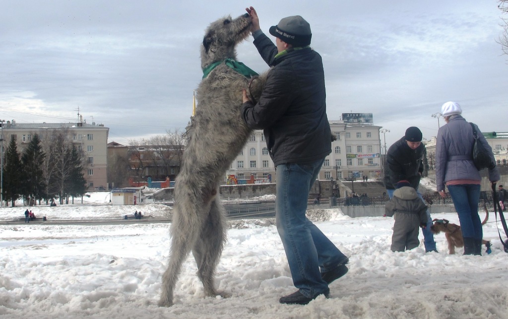 Парад в честь Дня Святого Патрика состоялся в Екатеринбурге - Фото 3